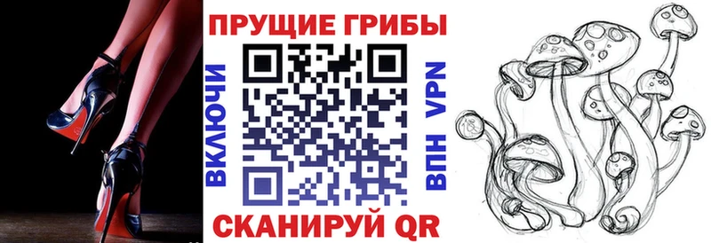 Псилоцибиновые грибы GOLDEN TEACHER  Беслан 